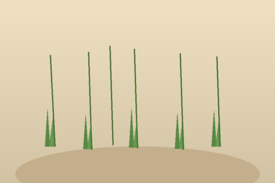 Lachenalia bulbifera with orange and yellow tubular bells growing in sandy fynbos near Langebaan