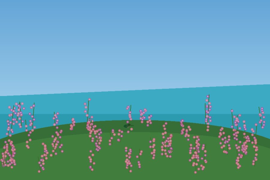 Erica and fynbos blooming near Langebaan Lagoon in March